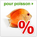 Offres spéciales poisson