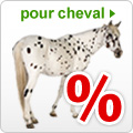 Offres spéciales cheval