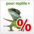 Offres spéciales reptile