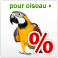 Offres spéciales oiseau