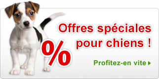 Offres spéciales Chien