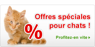 Offres spéciales Chat