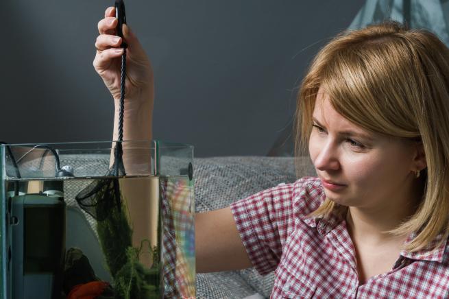 changer l'eau de l'aquarium