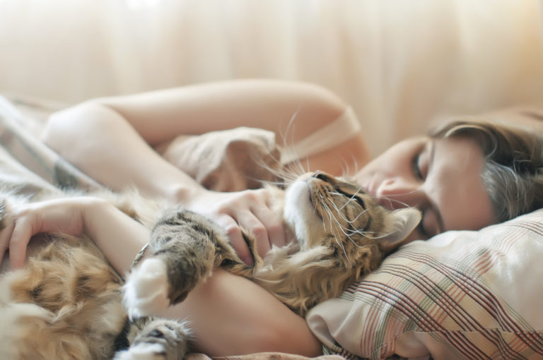 Dormir avec son chat : une bonne idée ?