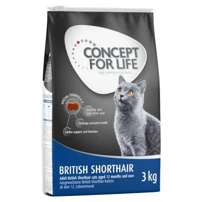 concept for life pour British Shorthair