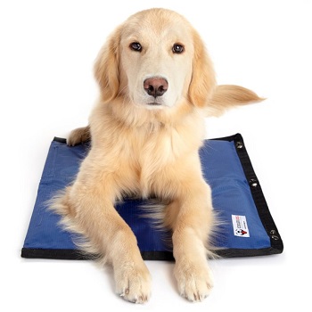 tapis rafraîchissant pour chien