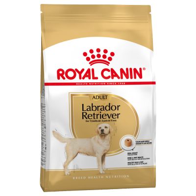 Royal Canin Breed Labrador Retriever Adult pour chien