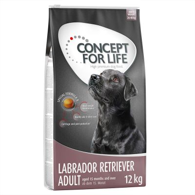 Concept for Life Labrador Retriever Adult pour chien