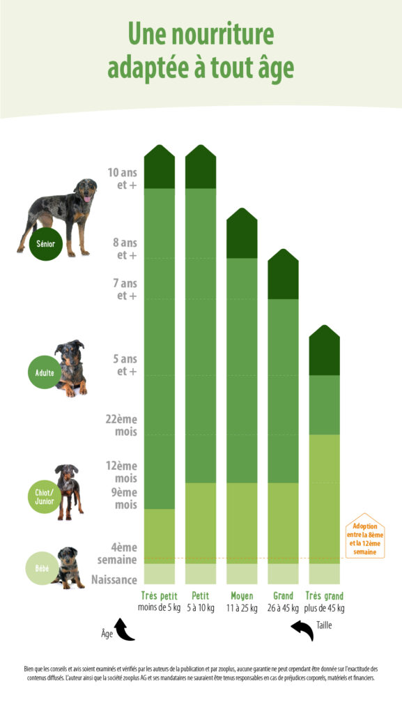 Alimentation chiot Graphique Alimentation chiot