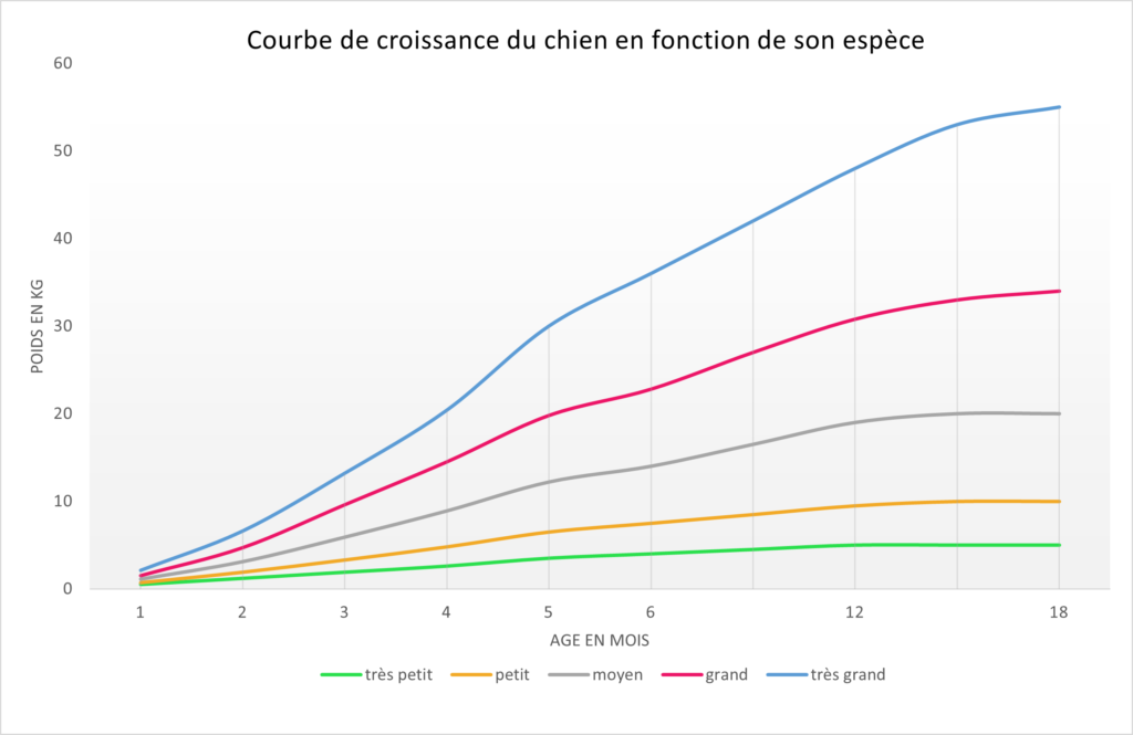 courbe_chiot Croissance et alimentation du chiot