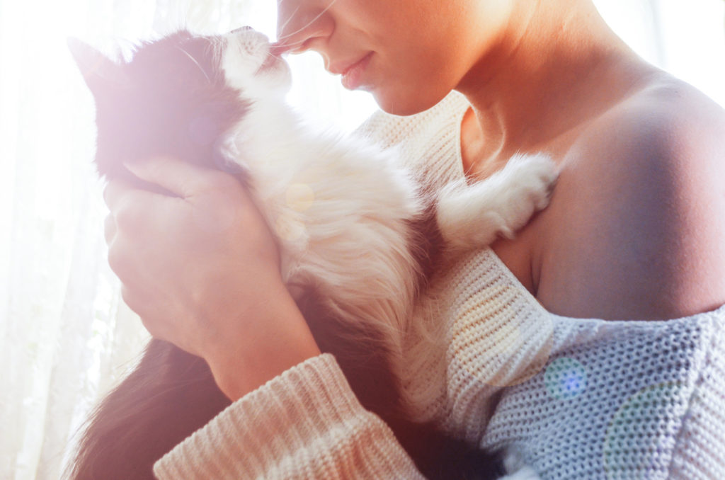 La toxoplasmose chez le chat Femme qui porte un chatm son nez est collé à la truffe du chat