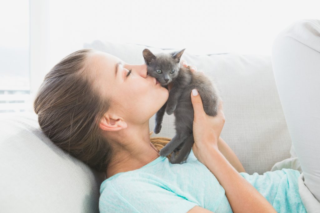 10 questions à poser à l’éleveur de chats 10 questions à poser à l'éleveur de chats