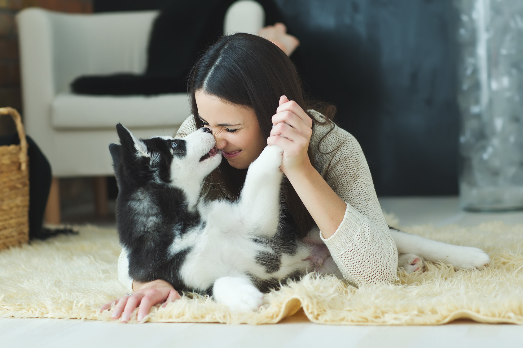 Bon-point-calin-animaux - La tête dans les idées