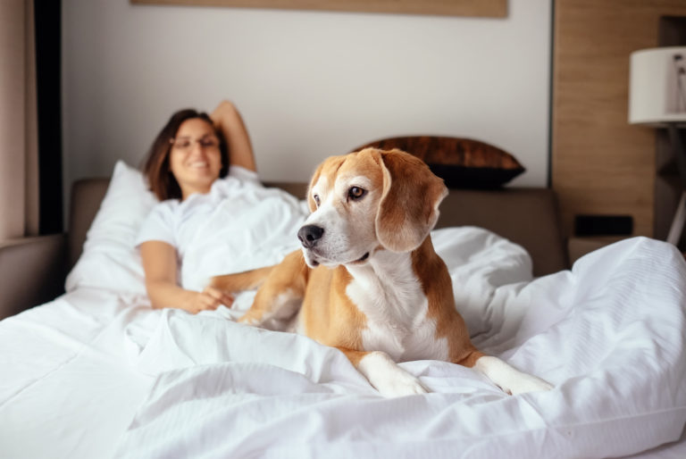 Une femme et son chien dans le lit