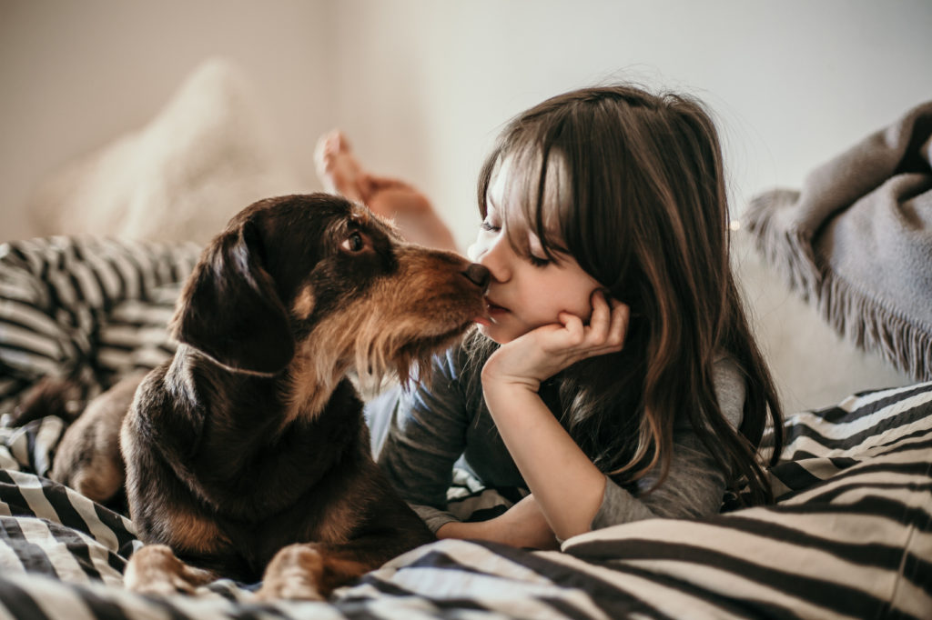 Dormir avec son chien Chien sur un lit