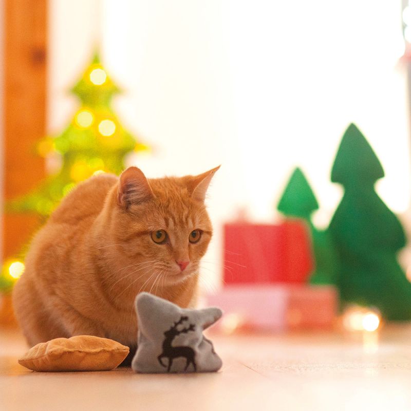 Les meilleurs cadeaux de Noël pour votre chat