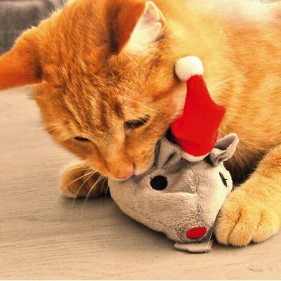 Doudou de Noël pour chat et chien - Petits Compagnons