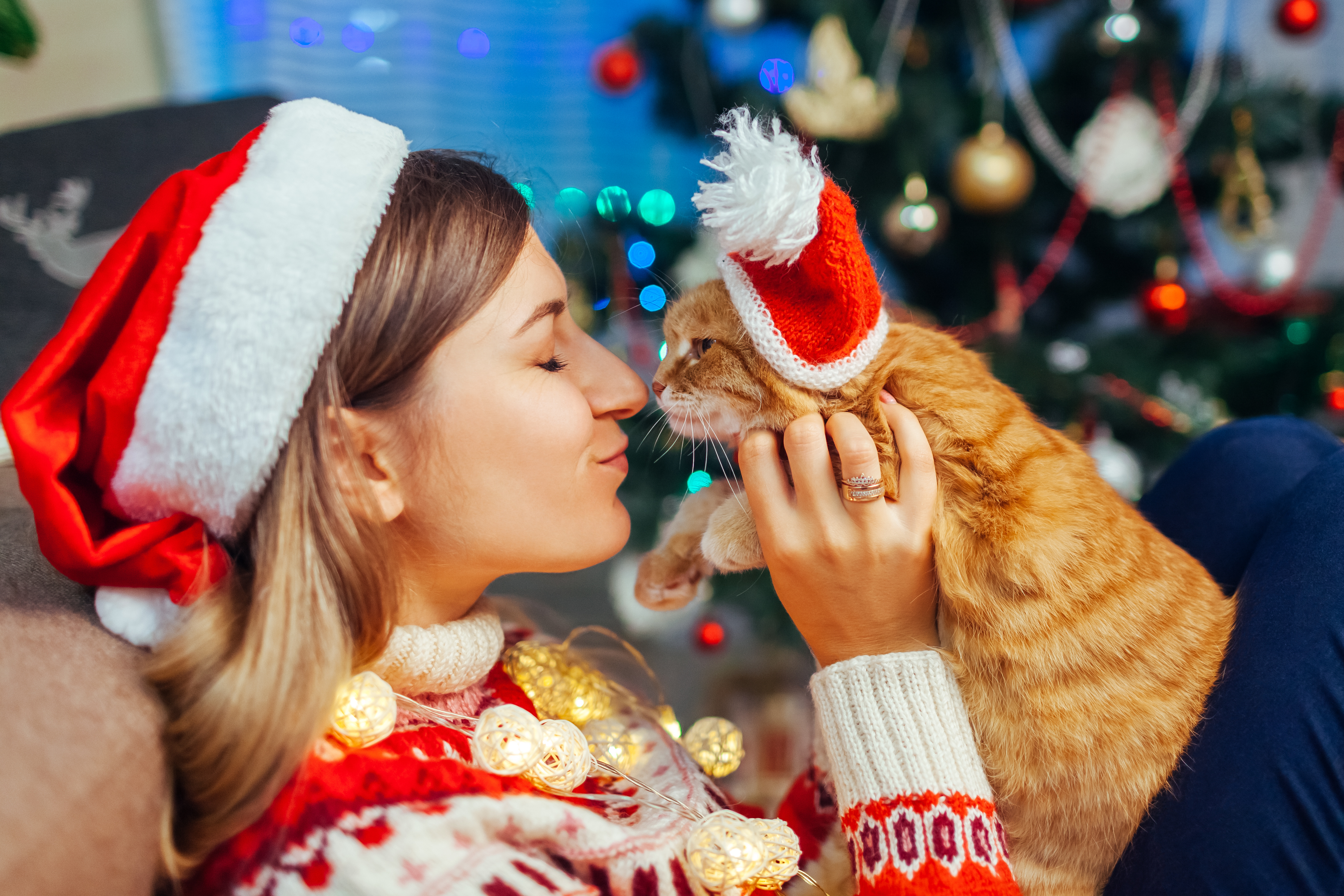 Les meilleurs cadeaux de Noël pour votre chat