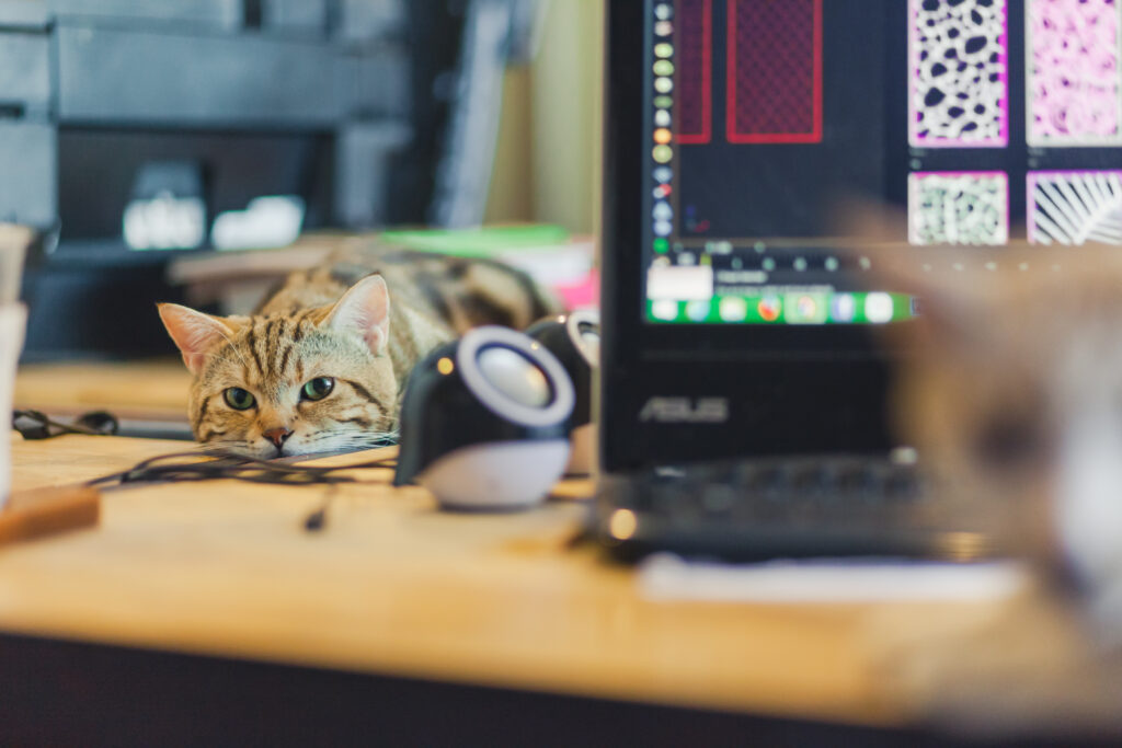 Un chat est allongé paresseusement sur le bureau de son maître