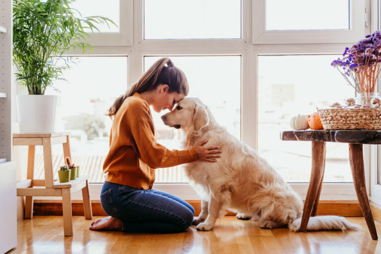 https://www.zooplus.be/magazine/wp-content/uploads/2020/03/promener-son-chien-pendant-le-confinement-768x512.jpeg