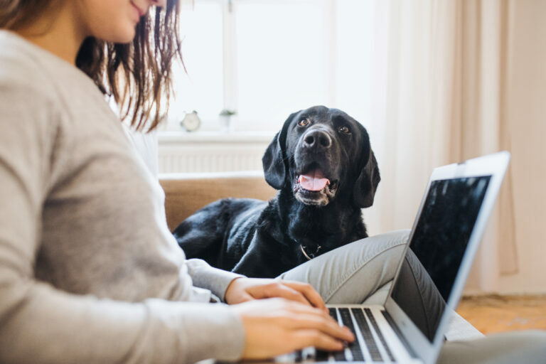 Une femme travaille et son chien la regarde