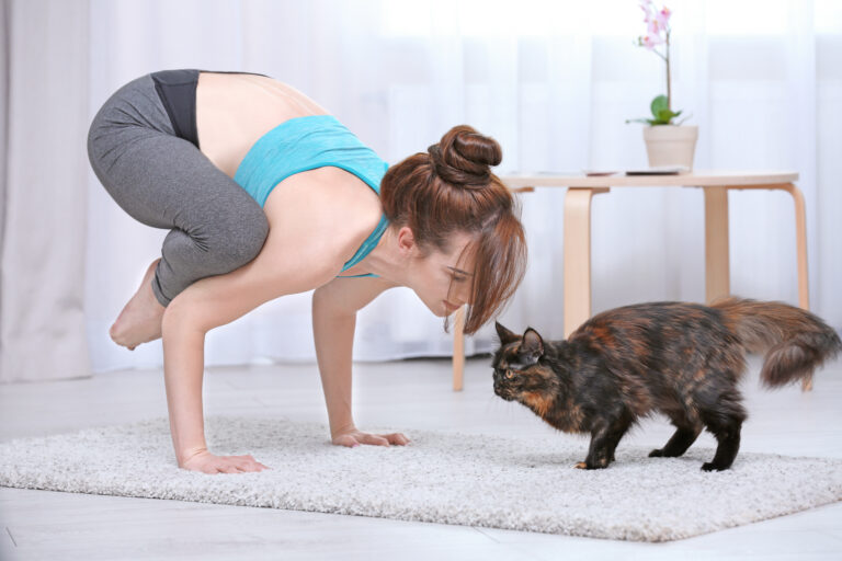 https://www.zooplus.be/magazine/wp-content/uploads/2020/04/cat-yoga.jpeg