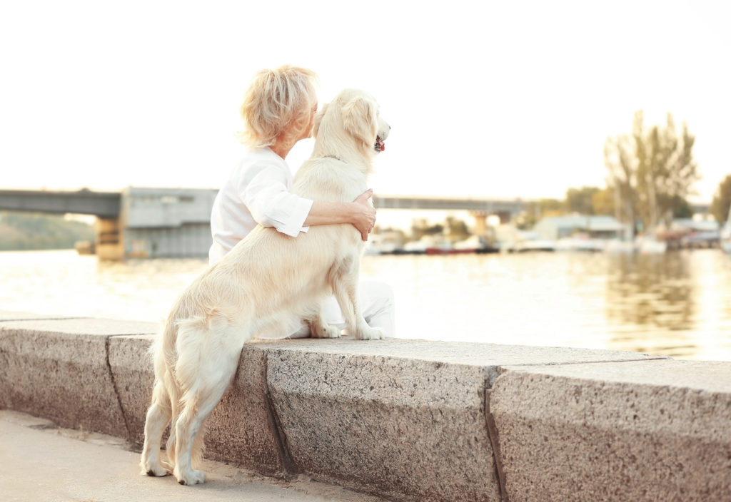 5 bonnes raisons d'adopter un chien âgé