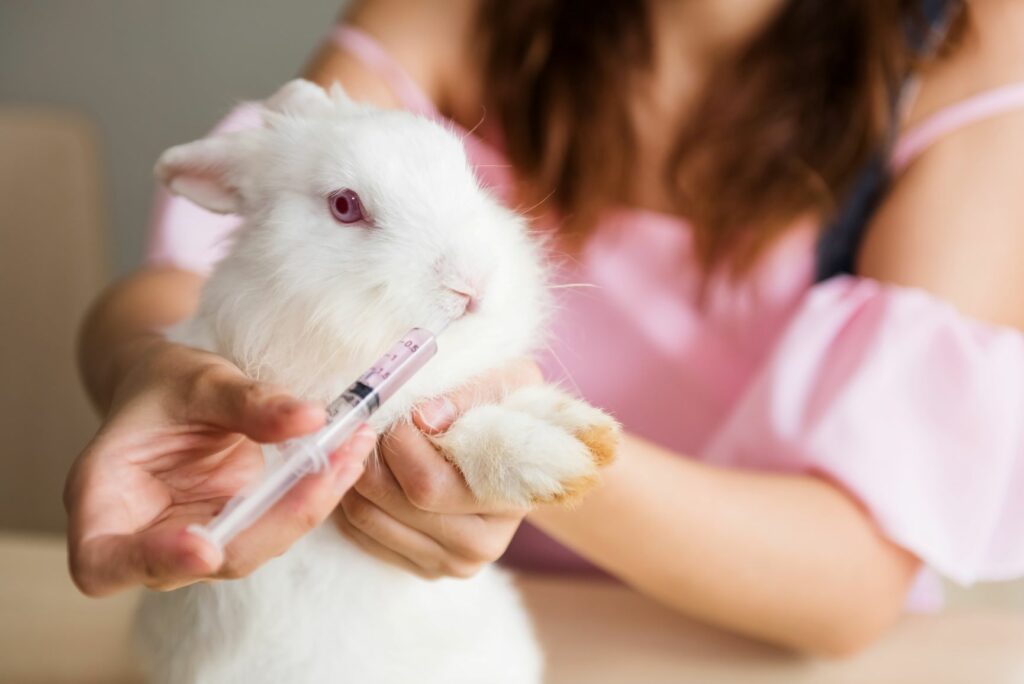 la diarrhée chez le lapin