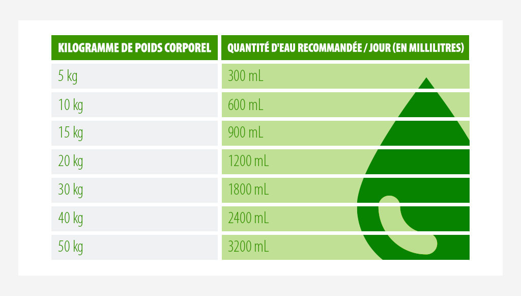 tableau récupitulatif des quantités d'eau