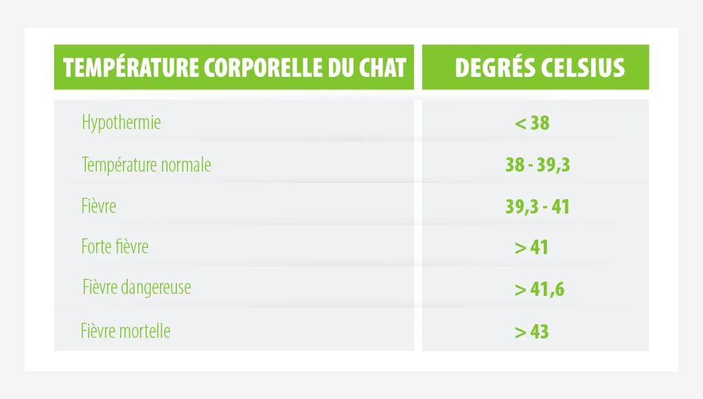 température corporelle du chat
