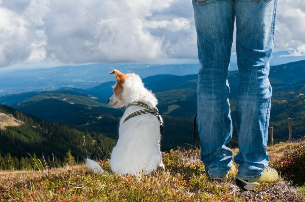 Randonnée avec un chien en montagne