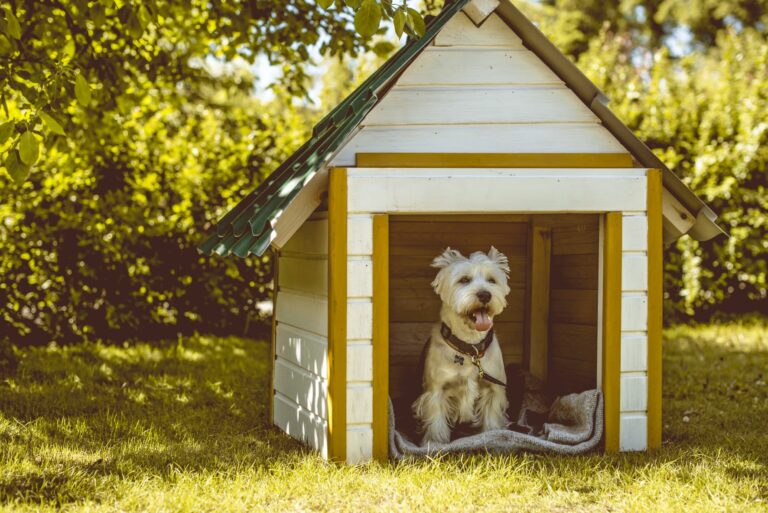 un chien dans sa niche