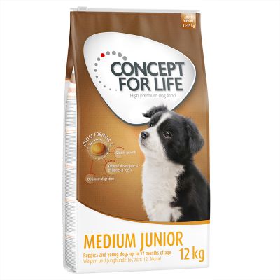 croquettes pour jeunes chiens