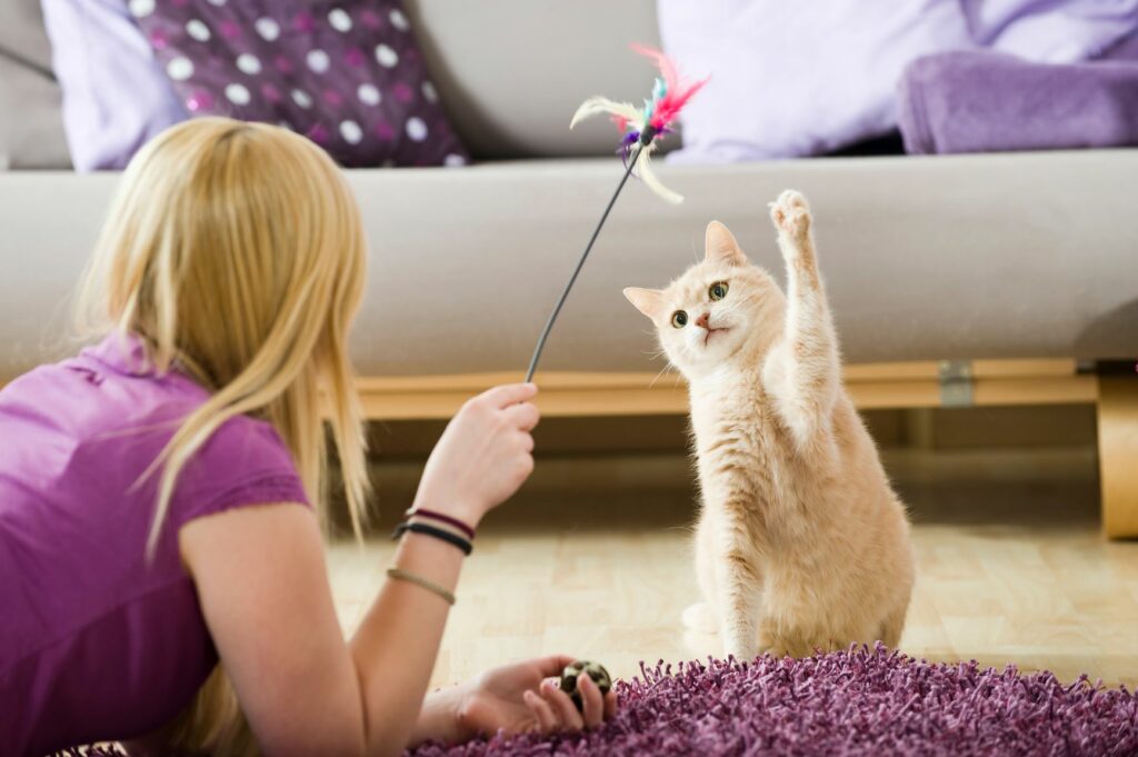 une fille et un chat jouent ensemble