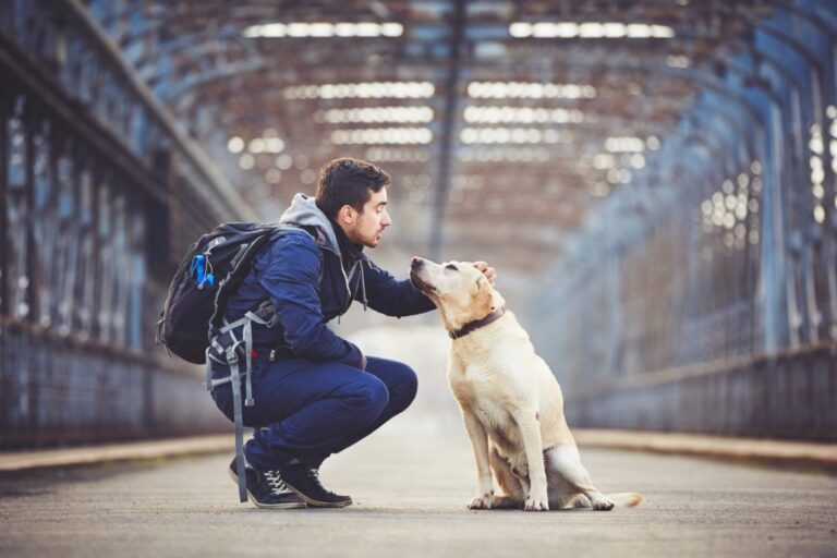 un maître et son chien à la gare