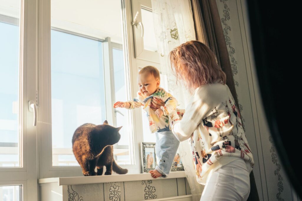 grossesse et chat
