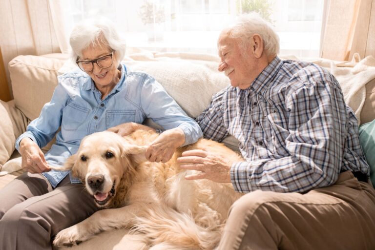 Les chiens sont des animaux qui peuvent contracter la maladie d'Alzheimer