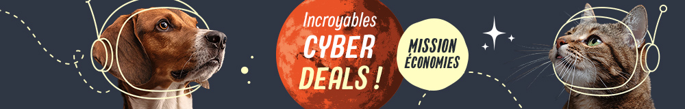 Cyber_Deals_2023_BE_footer