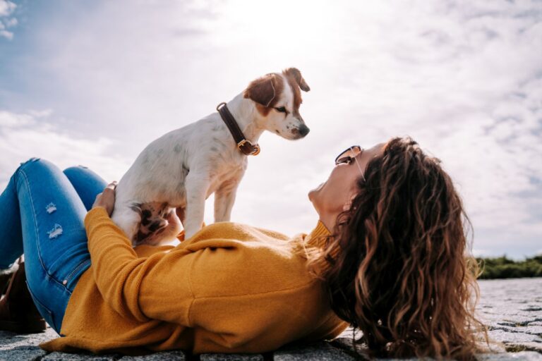 L'attachement entre homme et chien est essentiel pour une bonne vie commune