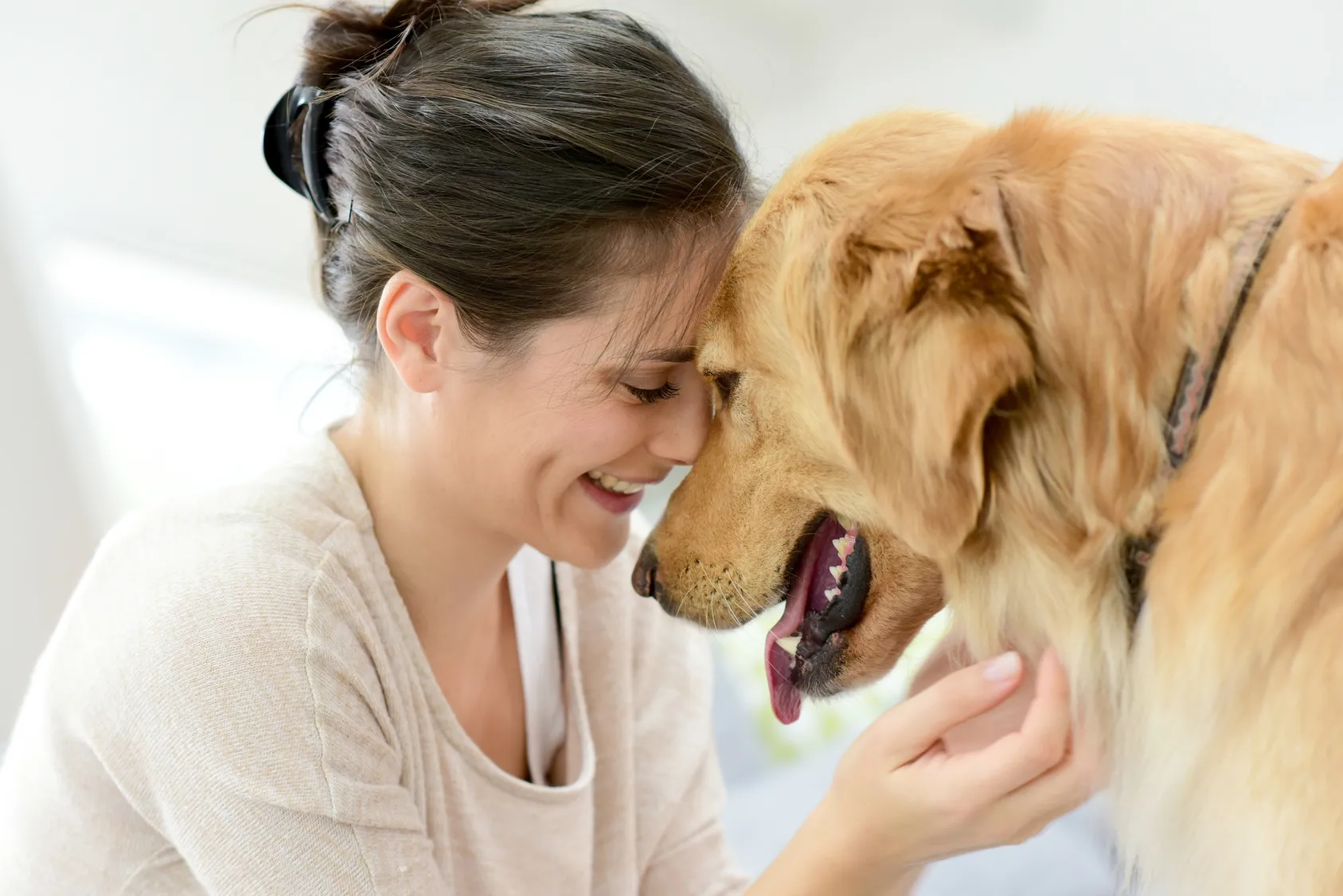 Un chien sur le point de faire un bisou à sa propriétaire
