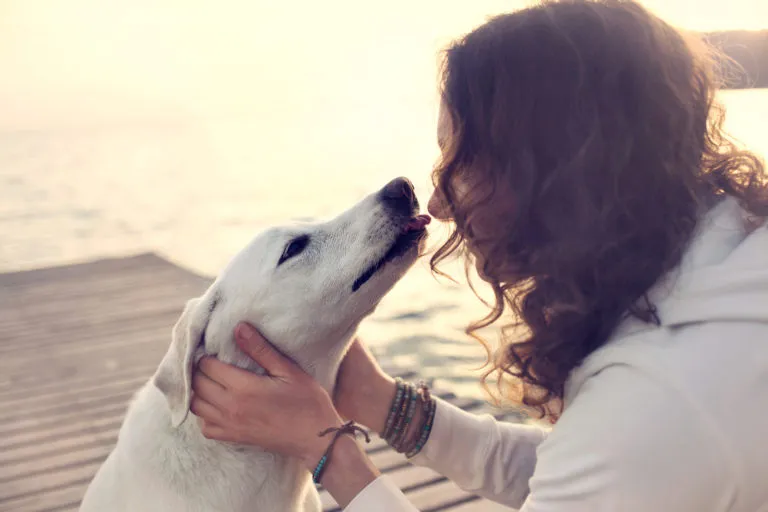 Un chien fait des bisous à sa maîtresse
