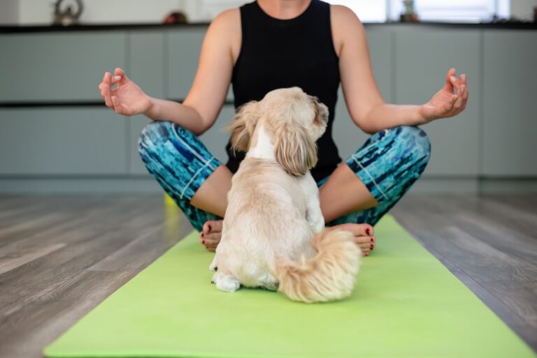 Puppy yoga : une yogi et un petit chien