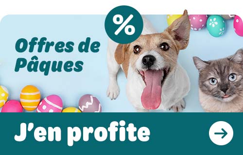 Offres de Pâques