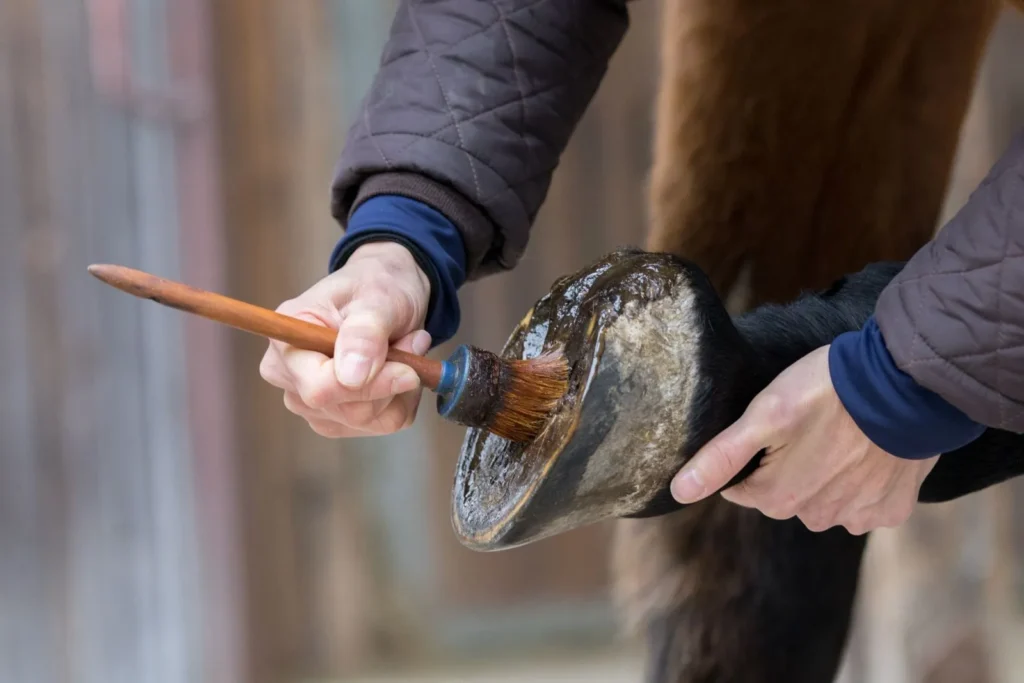 soins sabots cheval