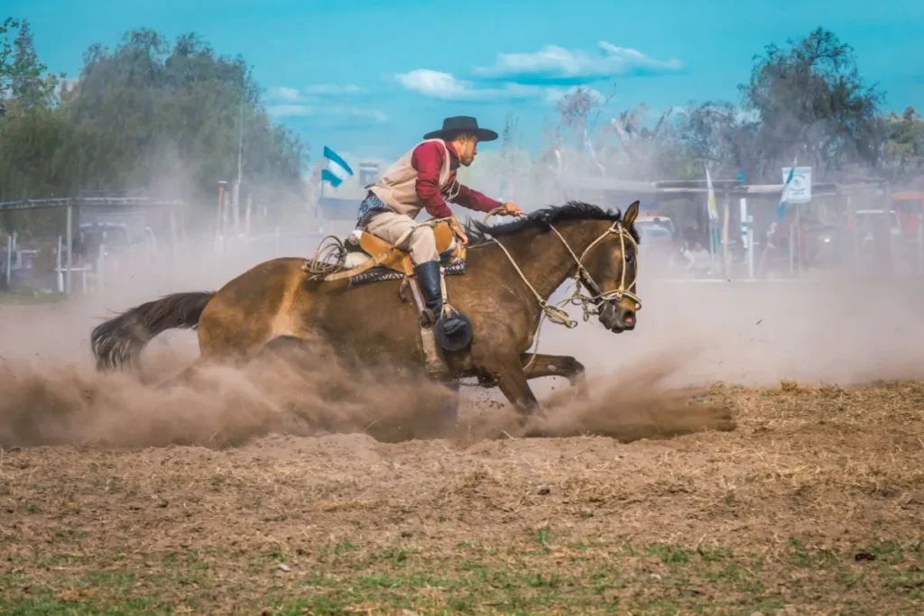 cheval criollo